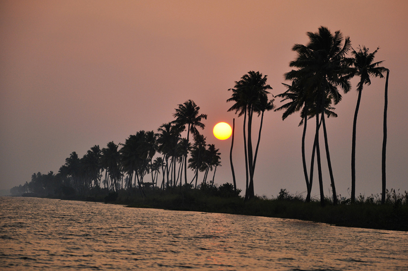 alleppey-backwaters-view